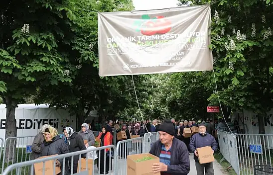 Kayseri'de domates fidesi dağıtıldı!