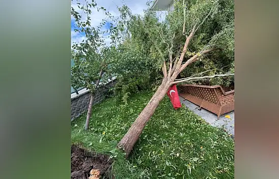 Kayseri'de fırtına etkisini gösterdi! Ağaç devrildi