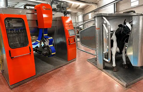 Kayseri'de genç girişimcilerden yerli robotik süt sağım sistemi