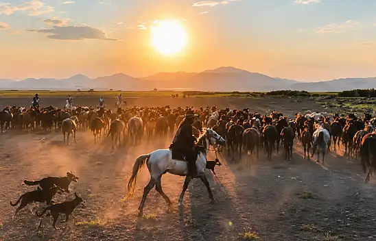 Kayseri'de gün batımına Yılkı atları damga vurdu!