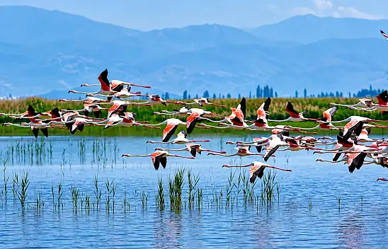 Kayseri'de hafta sonu göçmen kuşlar gibi ziyaret!