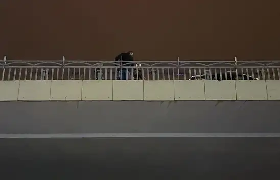 Kayseri'de hareketli dakikalar! Köprüye çıkan şahıs polisi alarma geçirdi