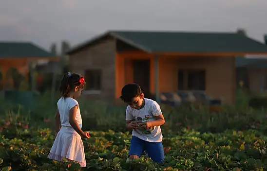 Kayseri'de Hobi Bahçelerinin kura çekimi belirlendi