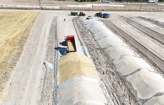Kayseri'de hububat alımları devam ediyor! Üreticilere kritik uyarı