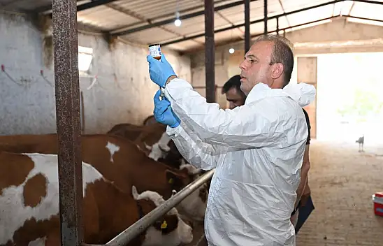 Kayseri'de iğneli Müdür iş başında