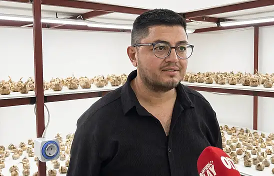 Kayseri'de ilk kez yetiştiriliyor! Kilosu 850 bin TL
