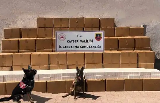 Kayseri'de kaçakçılık operasyonu