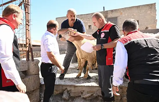 Kayseri'de kadın üreticiye tam destek! Koyunlar teslim edildi