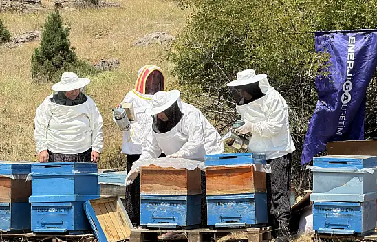 Kayseri'de kadınların arıcılık serüveni büyüyor: 5 kovandan 28 kovana!