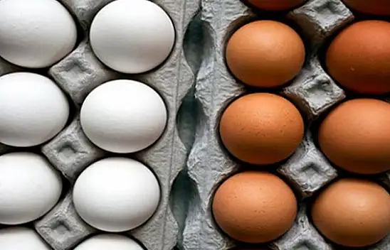 Kayseri'de kamunun yumurtalarını kim çaldı? Hafta sonu yapılacak seçim öncesi şok iddia