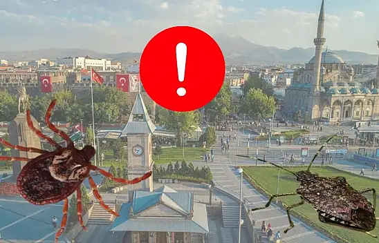 Kayseri'de kene harekatı başlıyor!