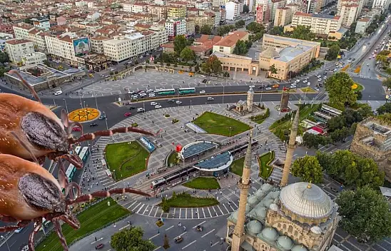 Kayseri'de 'kene' ile mücadele başladı! Milyonluk sözleşme imzalandı
