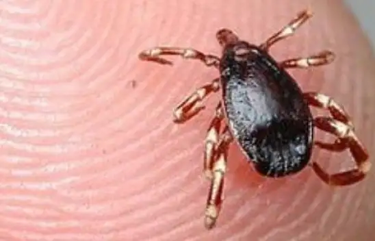 Kayseri'de keneden ikinci acı haber tedirginliği!