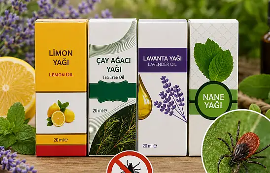 Kayseri'de keneye doğal çözüm! Kokusunu alan yaklaşamıyor!