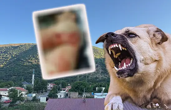 Kayseri'de oldu! Anne, baba ve çocukları misafirliğe giderken saldırıya uğrayıp, hastanelik oldular