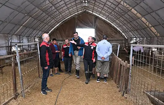 Kayseri'de küçükbaş üreticilerine yüzde 100 hibeli destek