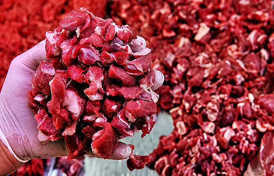 Kayseri'de kurban kesenler dikkat! Sağlık Bakanlığı uyardı