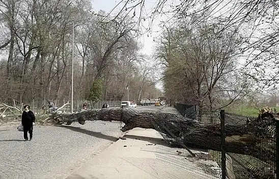 Kayseri'de kuvvetli rüzgâr ve fırtına alarmı