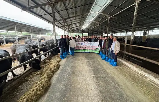 Kayseri'de mandacılık için yeni dönem!