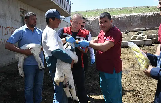Kayseri'de Müdür ve Oda Başkanından dikkat çeken buluşma! Ne olduysa o sözleşmeden sonra oldu