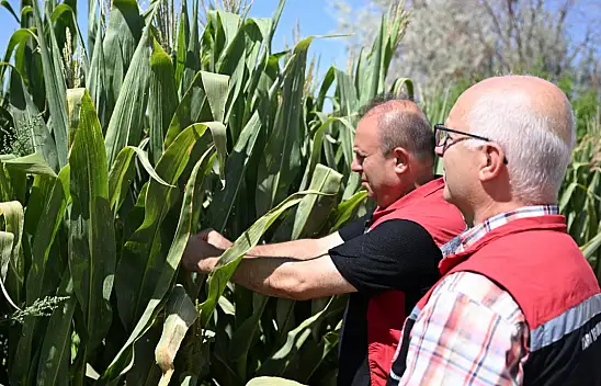 Kayseri'de müdürün hafta sonu mesaisi! Tek tek inceledi