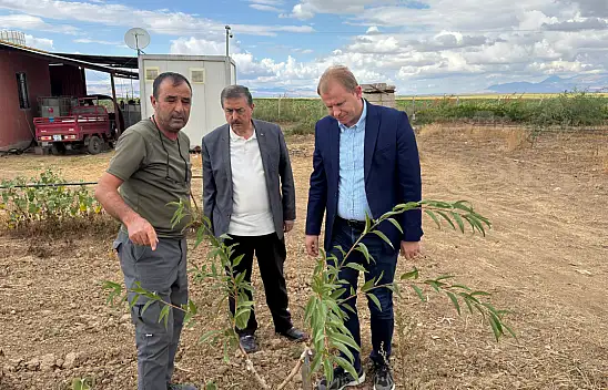 Kayseri'de ne yetişecek? Yeni ürün için çalışma başladı