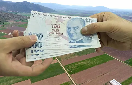 Kayseri'de o afeti yaşayan çiftçilere destek! Bakın kimler yararlanacak?