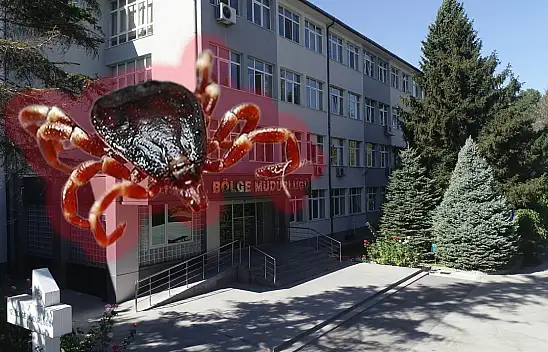 Kayseri'de o kurumda kene alarmı!