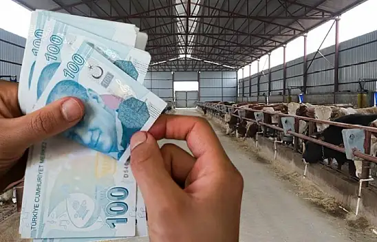 Kayseri'de oldu... 21 milyonluk projeye yüzde 50 hibe aldı!