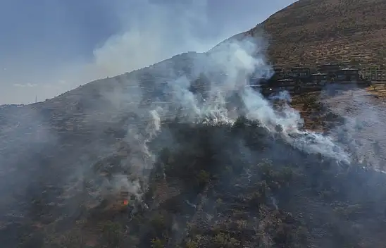 Kayseri'de 'patlıcan közleyelim' derken ormanı köz ettiler!