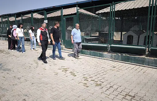 Kayseri'de salgın hastalık tehlikesine karşı kritik hamle!