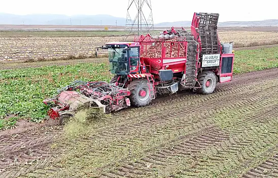 Kayseri'de hasat başladı! Hedef 50 bin ton