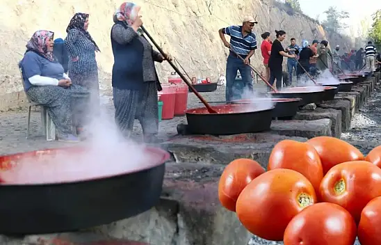 Kayseri'de sezon başladı! Salçalık domates fiyatları belli oldu