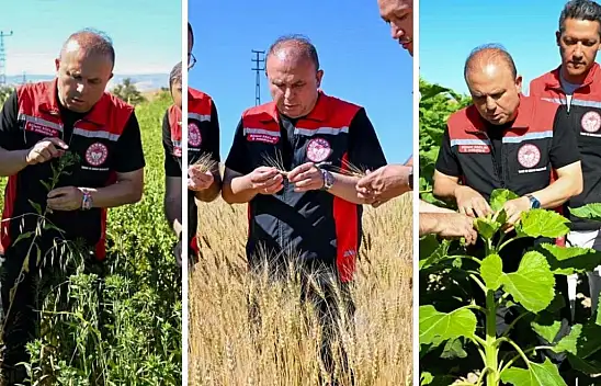 Kayseri'de tarlalar mercek altında! İl Müdürü sahaya indi