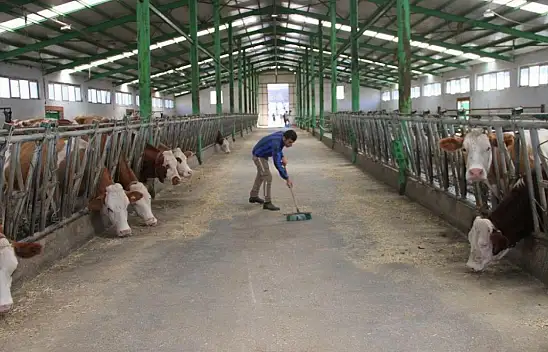 Kayseri'de üreticilere kritik çağrı! Son tarih belli oldu