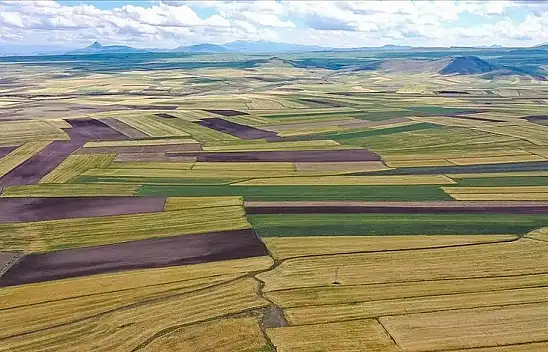 Kayseri'de Vakıflar Bölge Müdürlüğü'nden milyonluk ihale