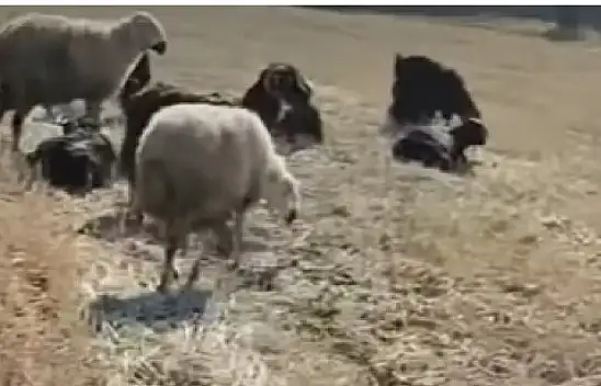 Kayseri'de yaşanan acı olay sonrası dikkat çeken destek