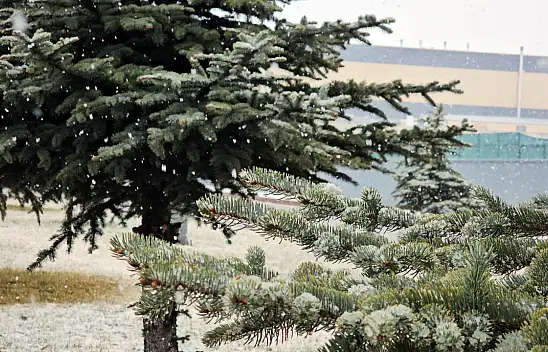 Kayseri'de yüksek kesimler kar altında