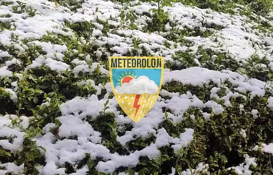 Kayseri'de zirai dona dikkat!