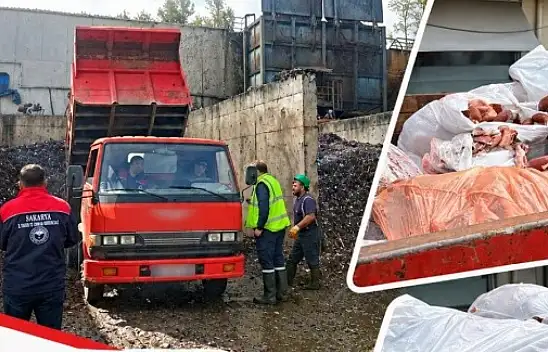 Kayseri'deki at-eşek eti şokunun ardından şimdi de domuz eti!
