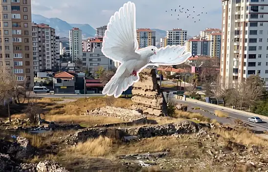 Kayseri'deki Basiliada merak konusu oldu! Mahalleye talih kuşu mu kondu?