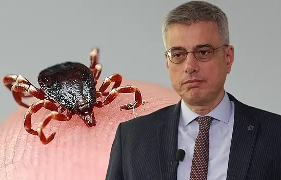 Kayseri'deki kene kabusu bitiyor mu? Bakan müjdeyi verdi