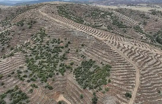 Kayseri'deki müdürlük açıkladı! Milyonluk hibe desteği