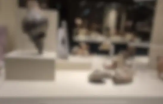 Kayseri'den çıkan deniz kabuğu bakın nerede sergileniyor!