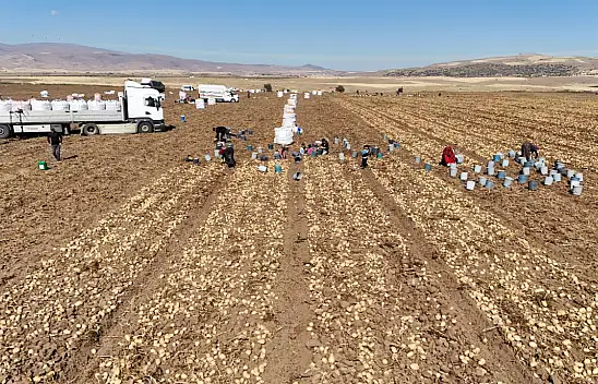 Tomarza'nın altınları Nevşehir'e gidiyor