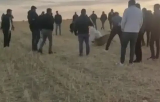 Kayseri jandarması köpek dövüştürenleri yakaladı! Rekor para cezası kesildi