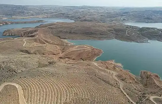 Kayseri'nin denizi yeşilleniyor: 5 milyon fidan toprakla buluşuyor.