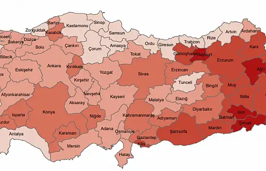 Kayseri'nin genç nüfusu belli oldu! Şehirde kaç genç yaşıyor? İşte o rakamlar