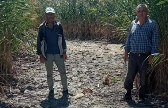 Kayseri'nin kuş cenneti yok mu oluyor?