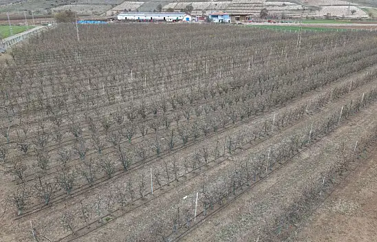 Kayseri'nin sadece o ilçesinde zarar 100 milyon dolar olarak açıklanmıştı! Bakan bu işe bakın ne dedi?